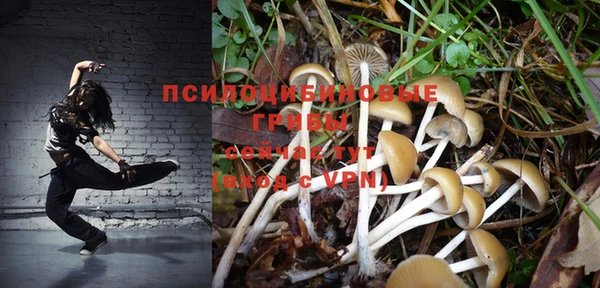 бошки Нефтегорск