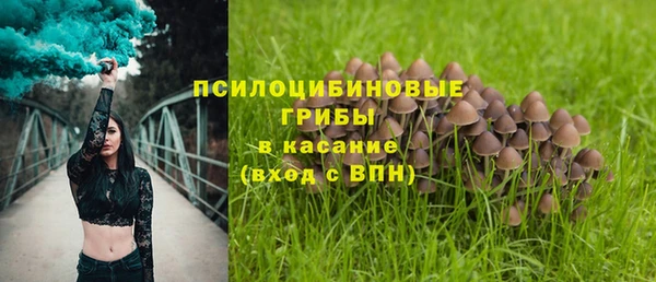 ALPHA PVP Нефтекумск