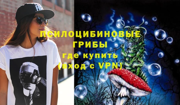 бошки Нефтегорск