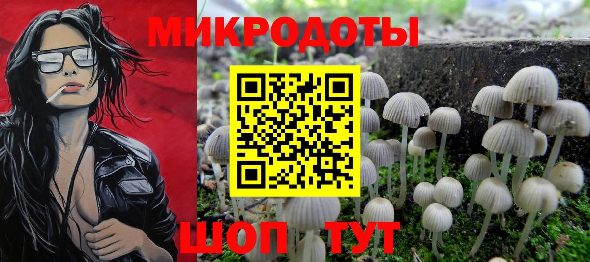Галлюциногенные грибы MAGIC MUSHROOMS Кузнецк