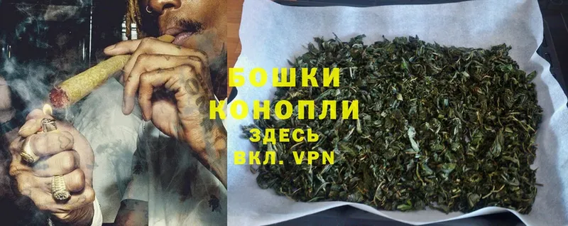 Шишки марихуана SATIVA & INDICA  ссылка на мегу ссылки  Кузнецк 