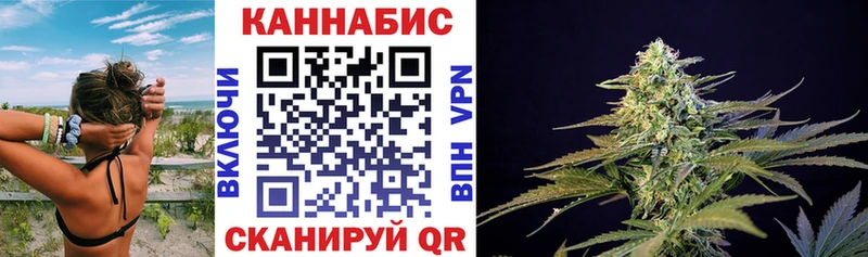 Конопля ГИДРОПОН  купить наркотик  даркнет наркотические препараты  Кузнецк 