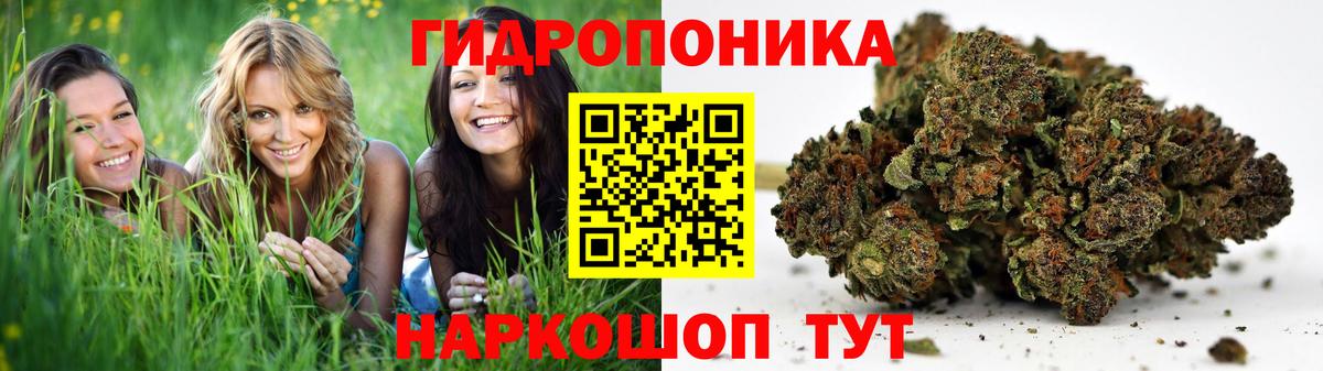 Канабис Amnesia  Вход с VPN  Шишки марихуана THC 21%  Кузнецк  Конопля MAZAR 